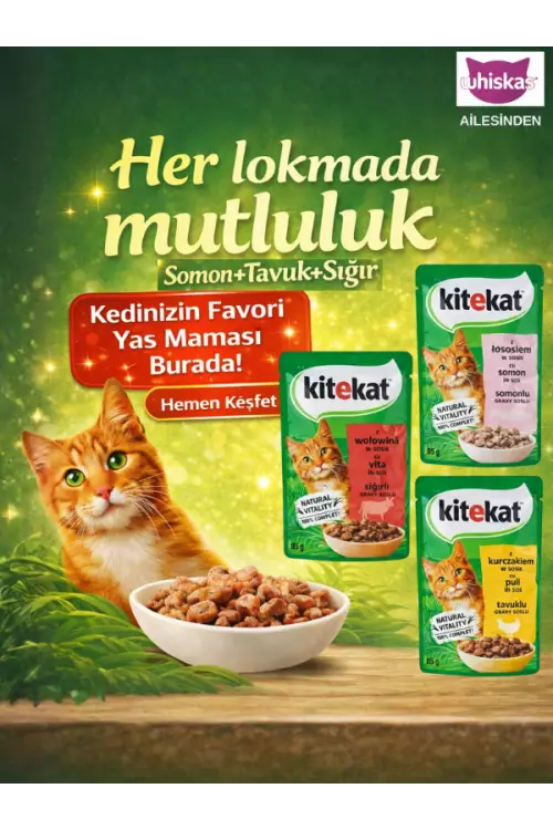 Kitekat Yaş Kedi Maması 85 gr Tavuk-Somon-Sığır Etli Karma Paket 84 Adet