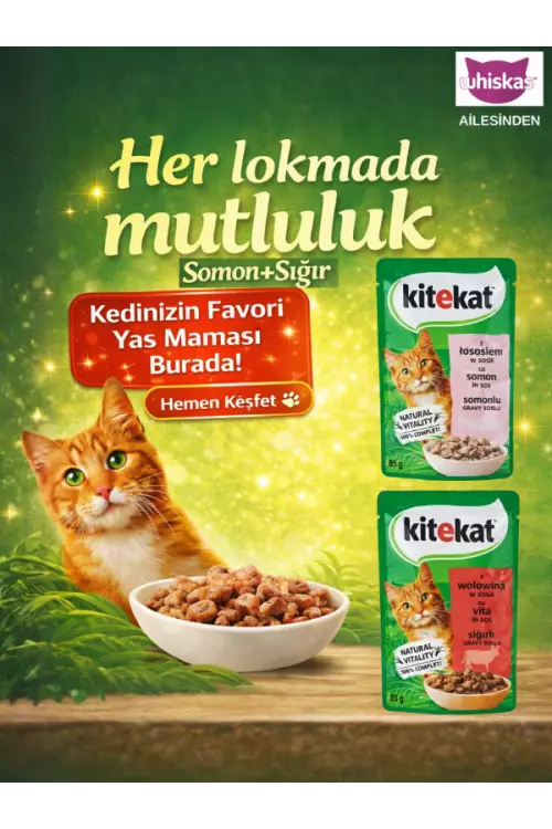 Kitekat Yaş Kedi Maması 85 gr Somon-Sığır Etli Karma Paket 56 Adet